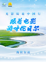 视频在线观看91