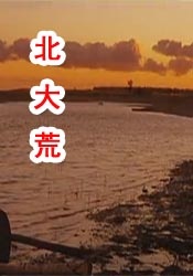 久久午夜一区二区