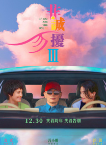枪挑豪门众美妇
